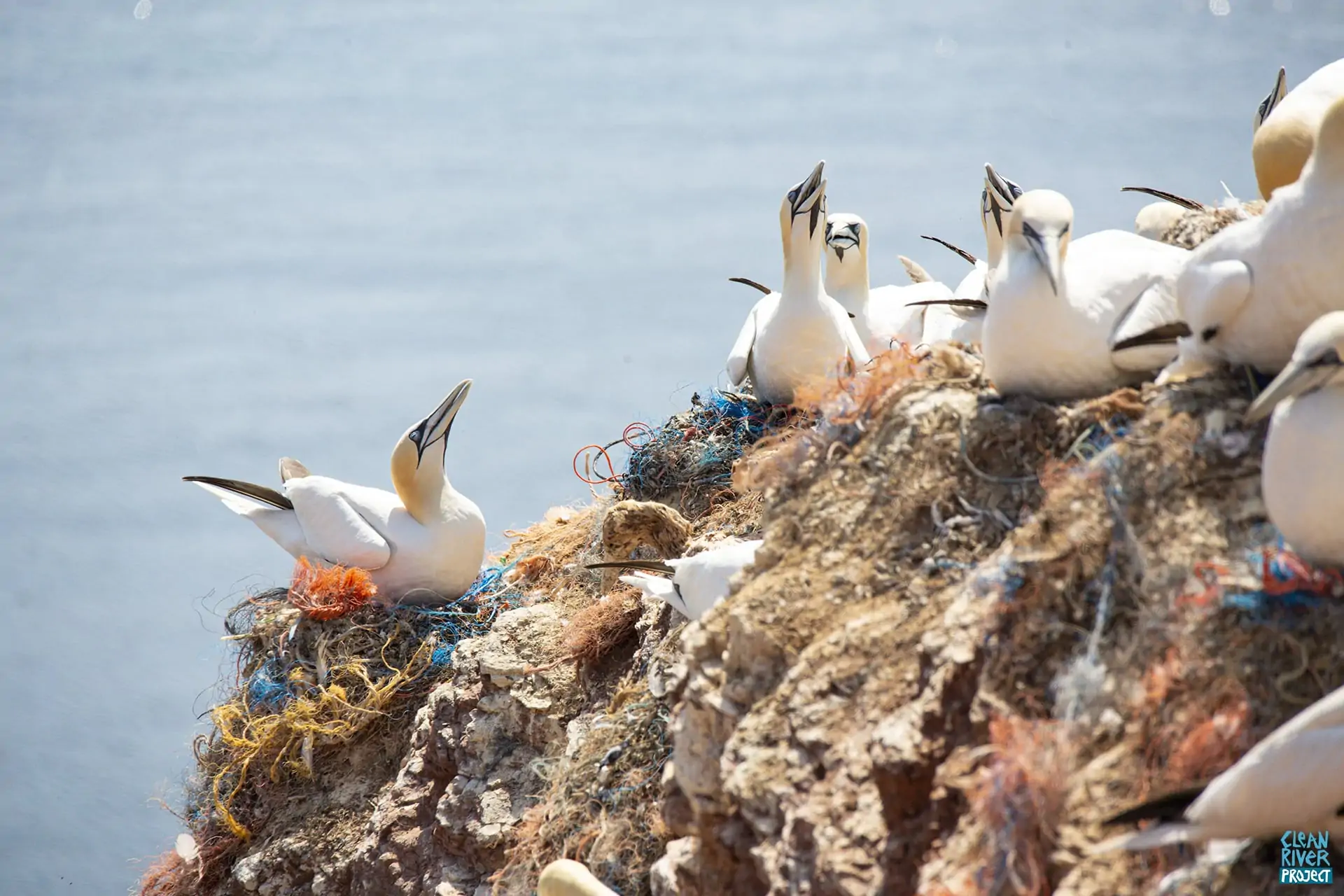 plastik müll im meer